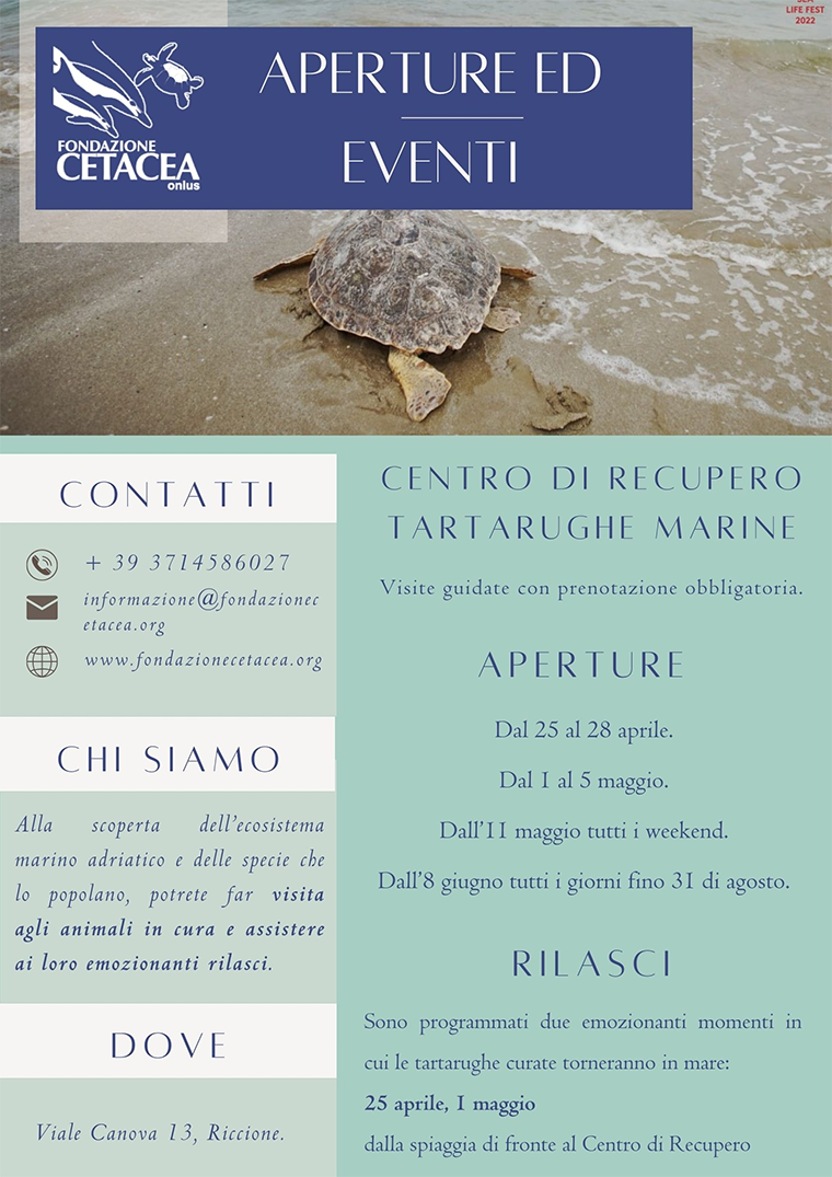 Fondazione Cetacea Riccione aperture 2024 info contatti