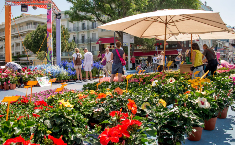 riccione viale dante i fiori del mare