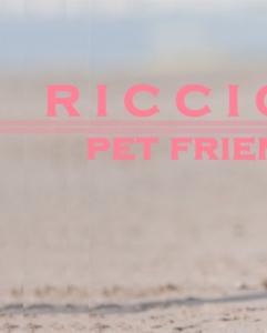 vacanzeinaquilone en 1-en-269589-riccione-notte-rosa-pink-night-holiday-apartments-last-minute-offers 018