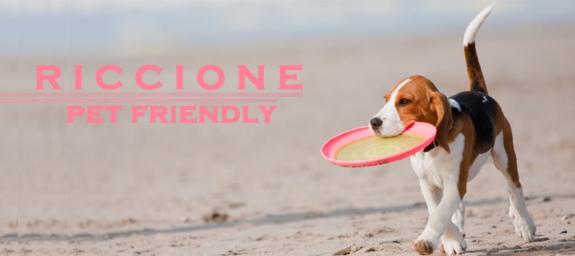  PET-FRIENDLY BEACHES IN RICCIONE | Look for your nearest dog friendly beach